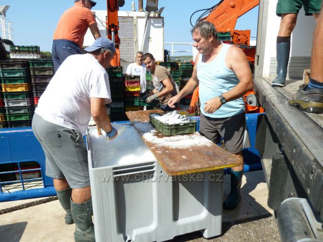 Milna, ostrov Brač, loď Adriatic Queen s bohatým úlovkem sardinek