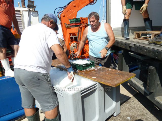 Milna, ostrov Brač, loď Adriatic Queen s bohatým úlovkem sardinek