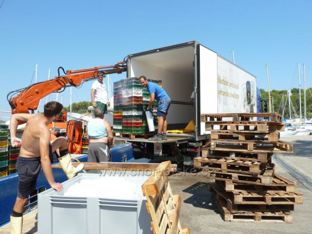 Milna, ostrov Brač, loď Adriatic Queen s bohatým úlovkem sardinek
