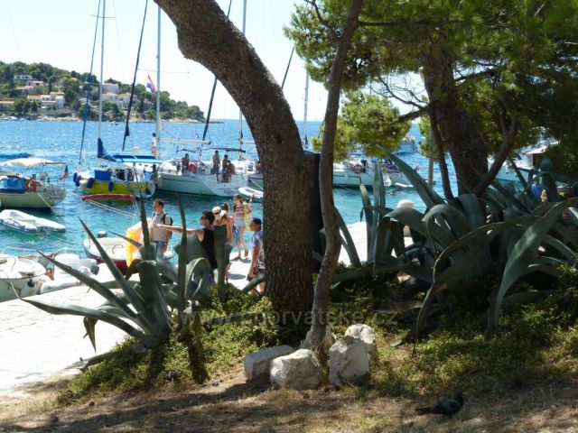 Hvar