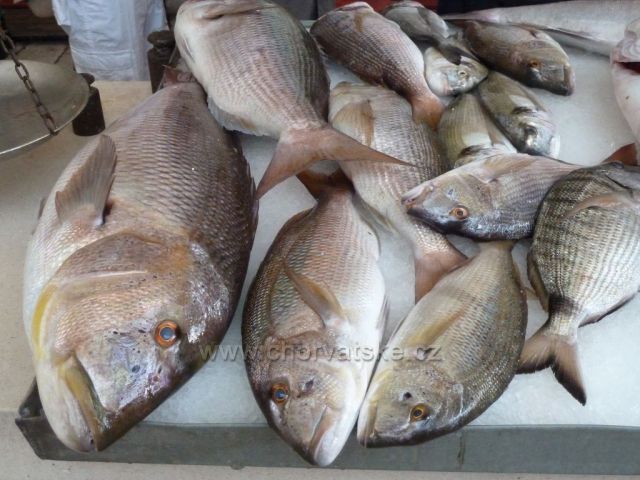Split - rybí trh