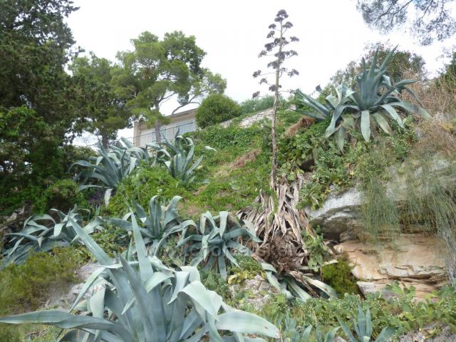 Milna na ostrově Brač