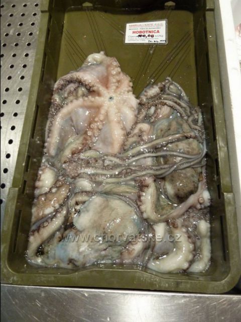 Omiš rybí tržnice