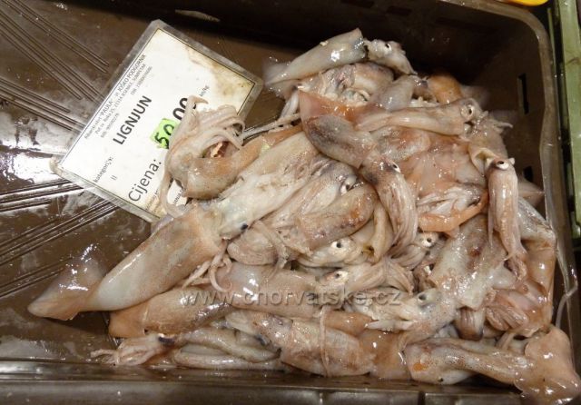 Omiš rybí tržnice