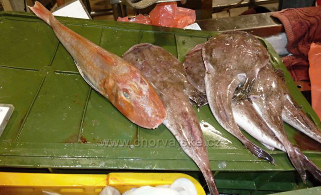 Omiš rybí tržnice