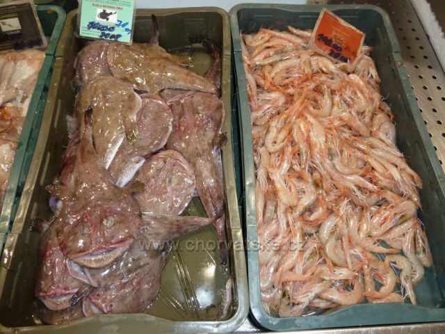 Omiš rybí tržnice