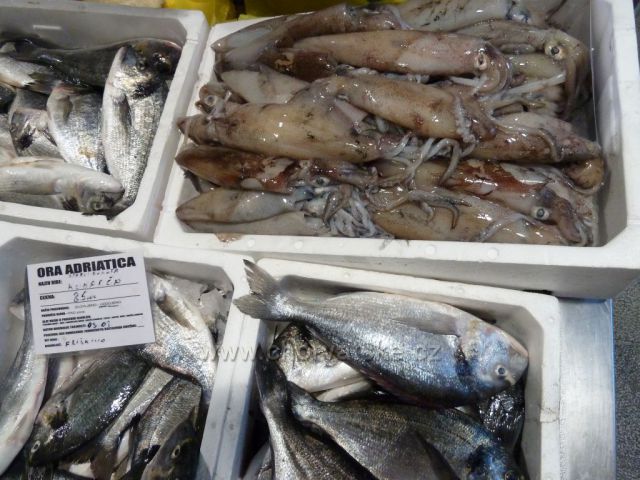 Omiš rybí tržnice