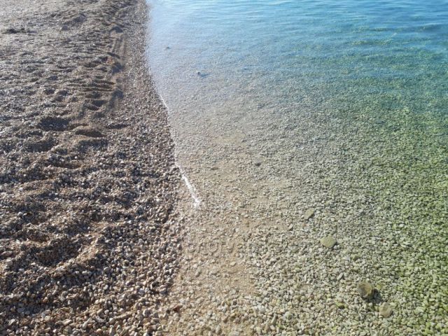 Medůzy na návštěvě