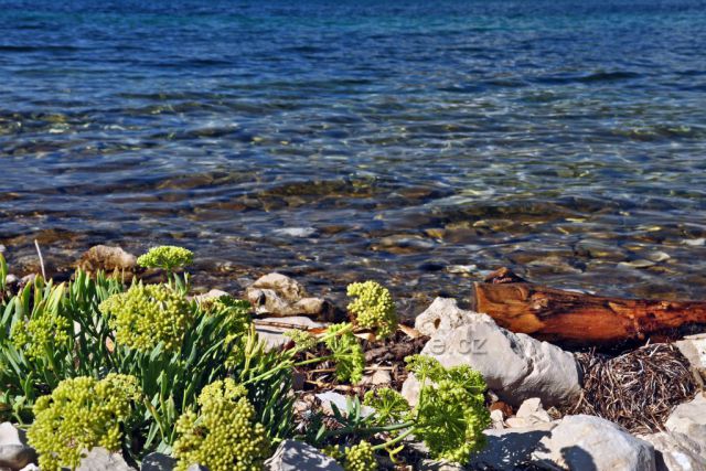 Pobřeží v zátoce Luka Dubrava