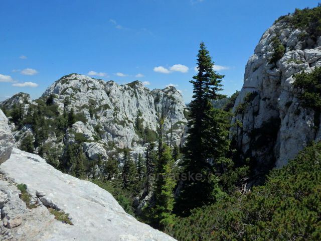 Premužičova stezka