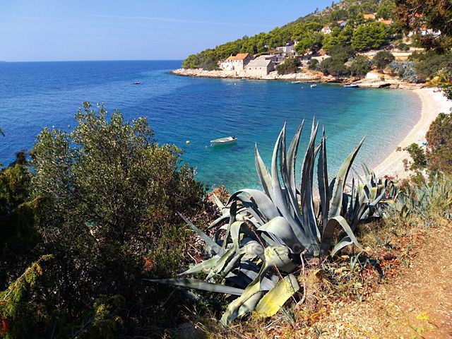 zátoka na ostrově Brač Chorvatsko