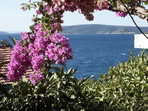 Seget Vranjica-pohľad z terasy