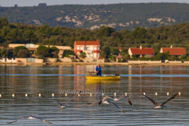 Rybář u ostrova Babac v Pašmanském kanálu