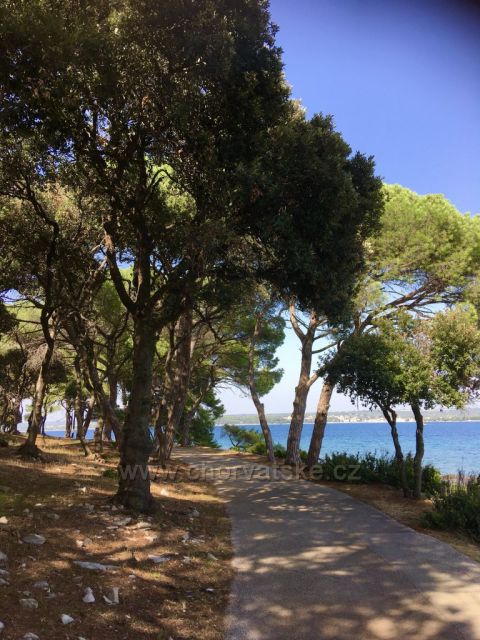 NP Brijuni-Veli Brijun