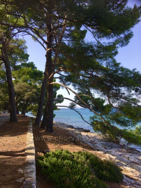 NP Brijuni-Veli  Brijun