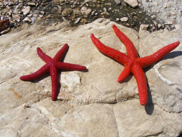 snad se ta doba nevrátí..(-: