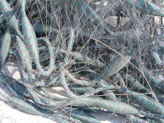 sušení sítí...spletenec