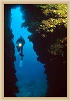 Kornátské ostrovy - podmořský svět